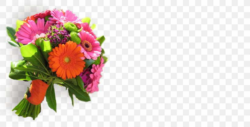 Transvaal Daisy Floral Design Cut Flowers Flower Bouquet, PNG, 980x500px, Transvaal Daisy, Annual Plant, Chrysanthemum, Chrysanths, Cut Flowers Download Free