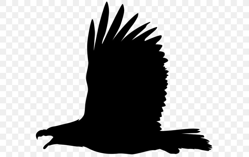 Bald Eagle Bird Philippine Eagle Clip Art, PNG, 600x517px, Bald Eagle, Beak, Bird, Bird Flight, Bird Of Prey Download Free