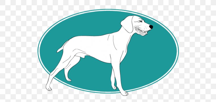 Dog Breed Italian Greyhound Whippet Sloughi Great Dane, PNG, 720x390px, Dog Breed, Breed, Carnivoran, Cartoon, Dog Download Free