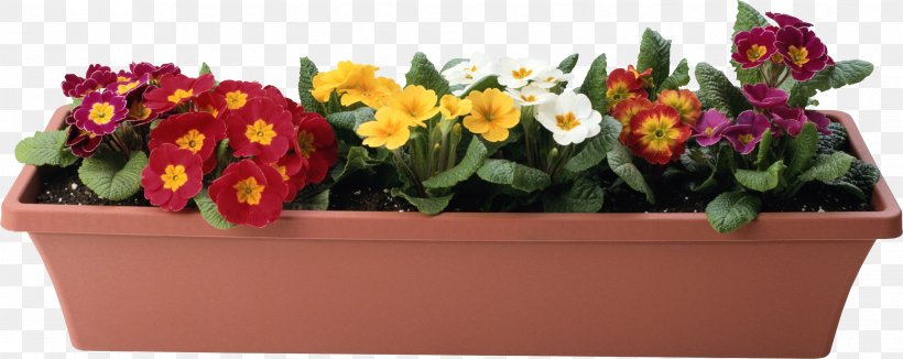 Flowerpot Plant, PNG, 3411x1358px, Flower, Cut Flowers, Designer, Floral Design, Floristry Download Free