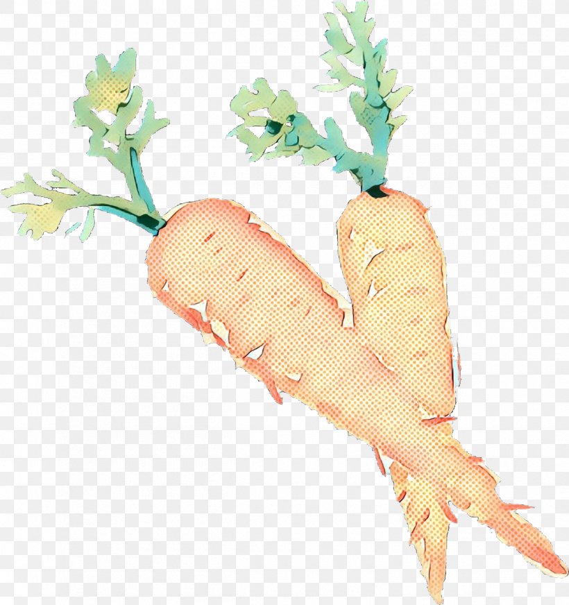 Watercolor Flower Background, PNG, 1250x1330px, Watercolor Painting, Arracacia Xanthorrhiza, Carrot, Daikon, Drawing Download Free