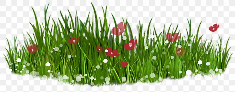 Clip Art Openclipart Image Lawn Free Content, PNG, 975x385px, Lawn, Commodity, Diagram, Drawing, Flower Download Free