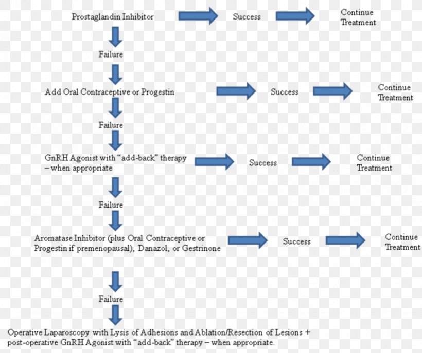 Endometriosis Therapy Medical Guideline Aromatase Inhibitor Symptom, PNG, 975x818px, Endometriosis, Ache, Area, Aromatase, Aromatase Inhibitor Download Free