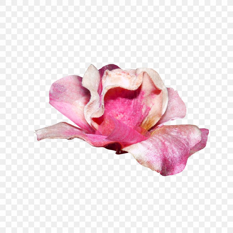Garden Roses Flower Bouquet Pink, PNG, 1800x1800px, Garden Roses, Artificial Flower, Blue, Cut Flowers, Flower Download Free