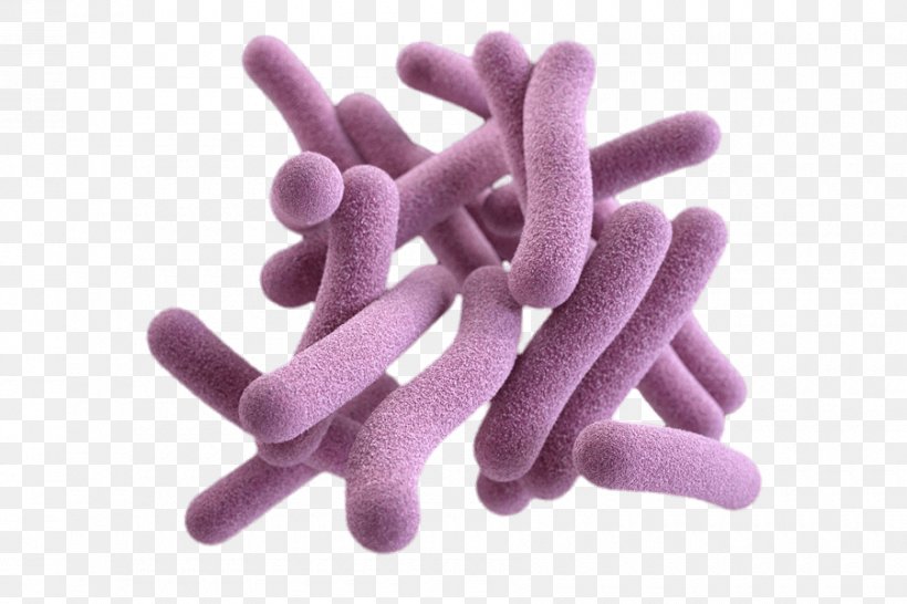 Mycobacterium Tuberculosis Pathogenic Bacteria, PNG, 900x600px, Mycobacterium Tuberculosis, Bacteria, Disease, Finger, Glove Download Free