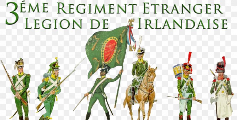 Napoleonic Wars First French Empire Ireland Battle Of Fuentes De Oñoro Irish Legion, PNG, 1200x606px, Napoleonic Wars, Battalion, First French Empire, Flowering Plant, French Foreign Legion Download Free