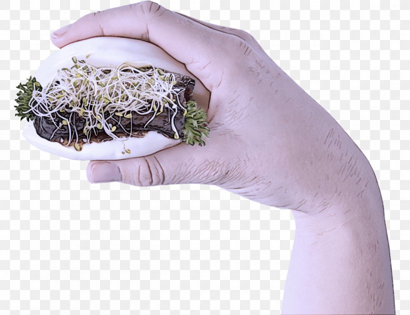 Plant Hand Flowerpot Alfalfa Sprouts Herb, PNG, 1300x1000px, Plant, Alfalfa Sprouts, Flower, Flowerpot, Hand Download Free