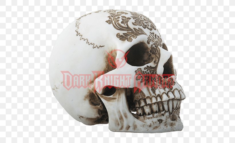 Skull Calavera YTC Summit International Inc Human Skeleton, PNG, 500x500px, Skull, Bone, Box, Calavera, Coffin Download Free