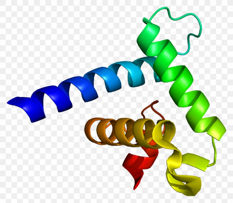 CREB-binding Protein P300-CBP Coactivator Family EP300, PNG, 859x749px, Crebbinding Protein, Adenovirus Early Region 1a, Amino Acid, Artwork, Binding Protein Download Free