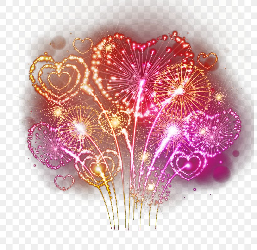 Fireworks Heart Photography, PNG, 800x800px, Fireworks, Firecracker, Flower, Heart, Magenta Download Free