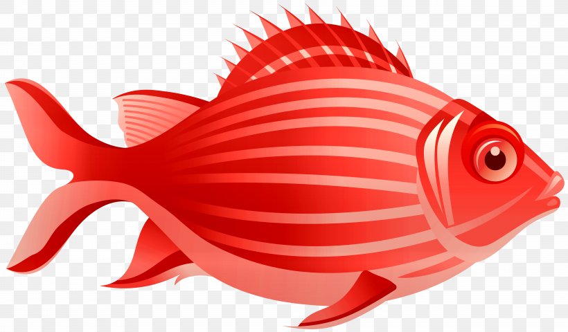 Vector Graphics Illustration Euclidean Vector, PNG, 8000x4685px, Royaltyfree, Art, Drawing, Fish, Istock Download Free