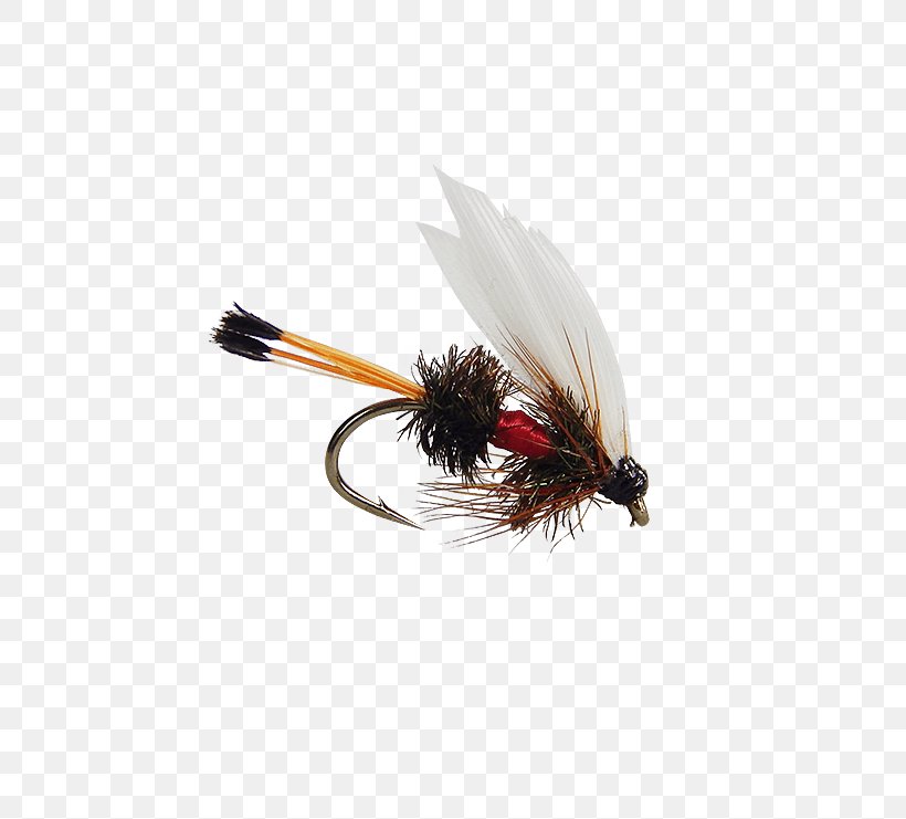 Artificial Fly Fly Fishing Hare's Ear Royal Coachman Spoon Lure, PNG, 555x741px, Artificial Fly, Alberta, Amazon S3, Com, Fishing Download Free