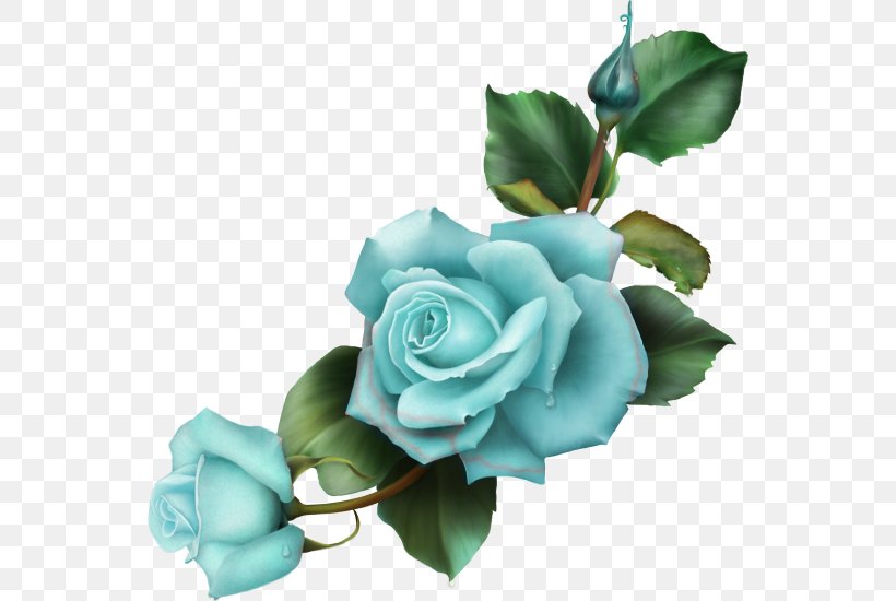 Blue Rose Drawing Flower, PNG, 550x550px, Rose, Art, Artificial Flower, Blue, Blue Rose Download Free