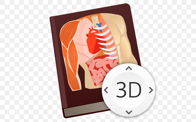 Human Anatomy Human Body Anatomy Game Essential Anatomy, PNG, 512x512px, Watercolor, Cartoon, Flower, Frame, Heart Download Free