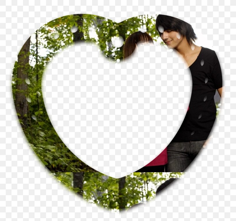 Mitchie Torres Picture Frames Camp Rock Series, PNG, 800x770px, Mitchie Torres, Camp Rock, Heart, Love, Picture Frame Download Free