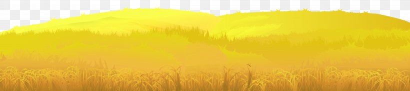 Sunlight Sky Yellow Grain Cereal, PNG, 8000x1787px, Grasses, Cereal, Close Up, Commodity, Family Download Free