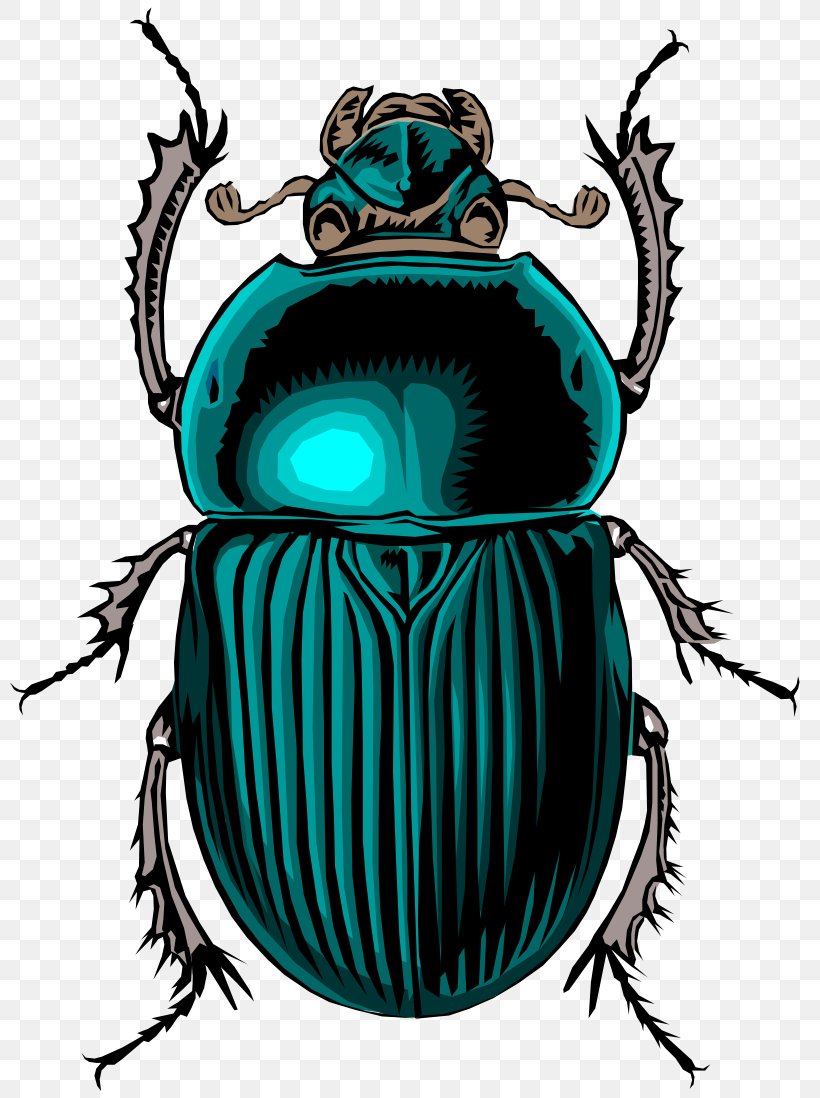 Volkswagen Beetle Dung Beetle Clip Art, PNG, 800x1098px, Beetle, Arthropod, Cdr, Colorado Potato Beetle, Dung Beetle Download Free
