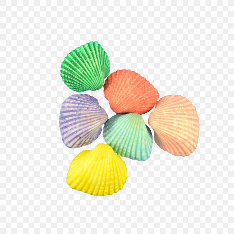 ARK: Survival Evolved The Seashell Company Cockle Craft, PNG, 1100x1100px, Ark Survival Evolved, Ark Clam, Cockle, Craft, Gallon Download Free