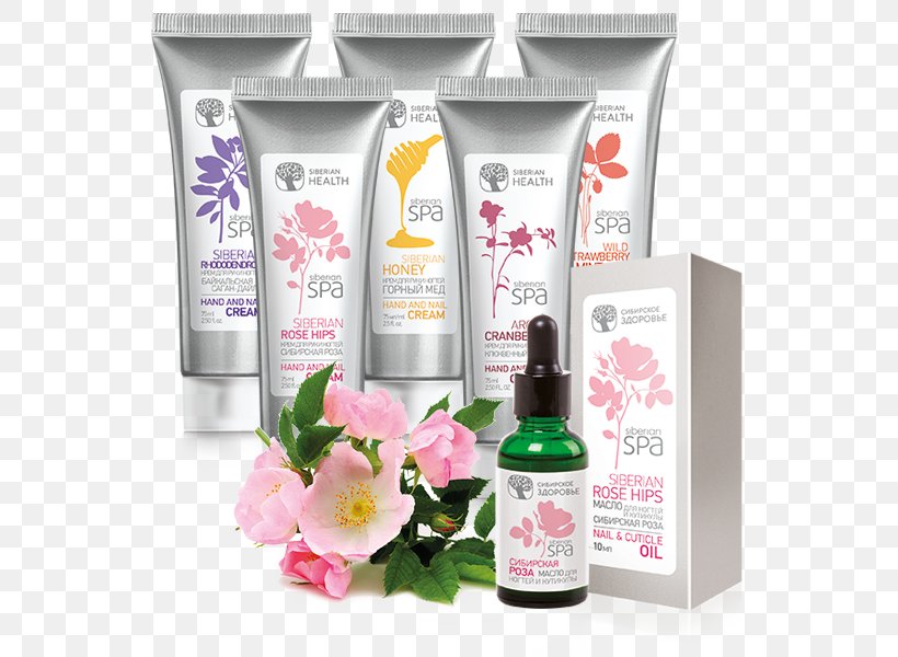 Cream Lotion Cosmetics Сибирское здоровье Nail, PNG, 600x600px, Cream, Cosmetics, Hair, Hand, Health Download Free