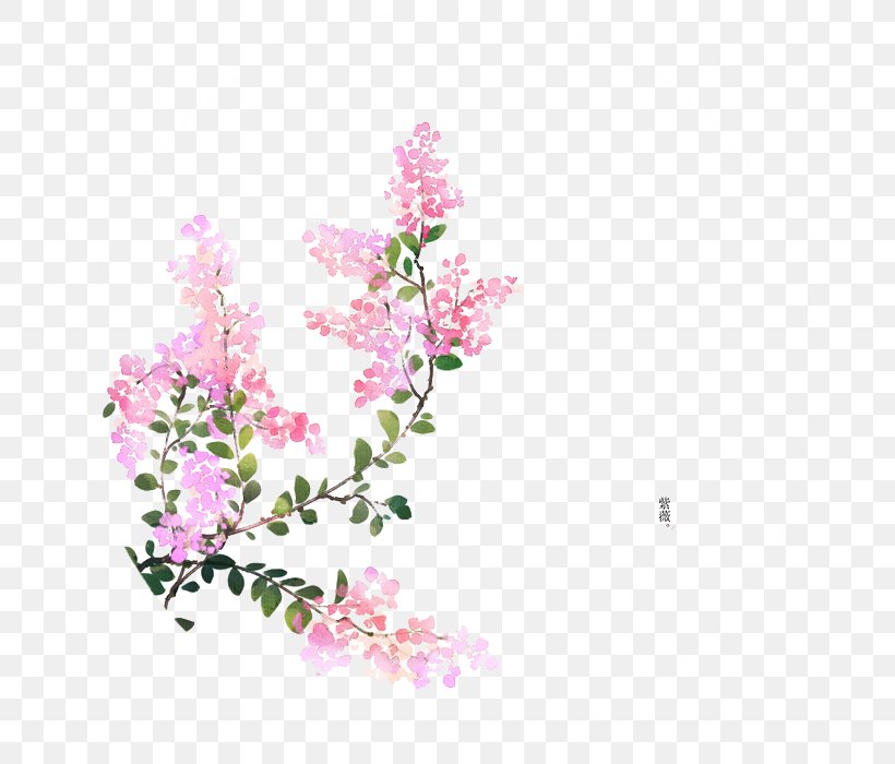 Flower U8a69u8a5eu6b4cu8ce6 Illustrator Illustration, PNG, 700x700px, Flower, Art, Blog, Blossom, Branch Download Free