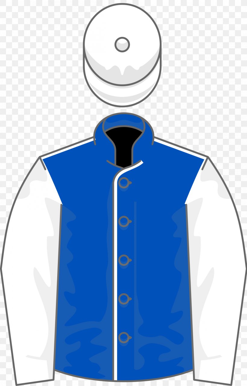 2003 Grand National Aintree Racecourse 2009 Grand National 2004 Grand National Horse Racing, PNG, 1200x1873px, Aintree Racecourse, Amberleigh House, Blue, Clothing, Collar Download Free