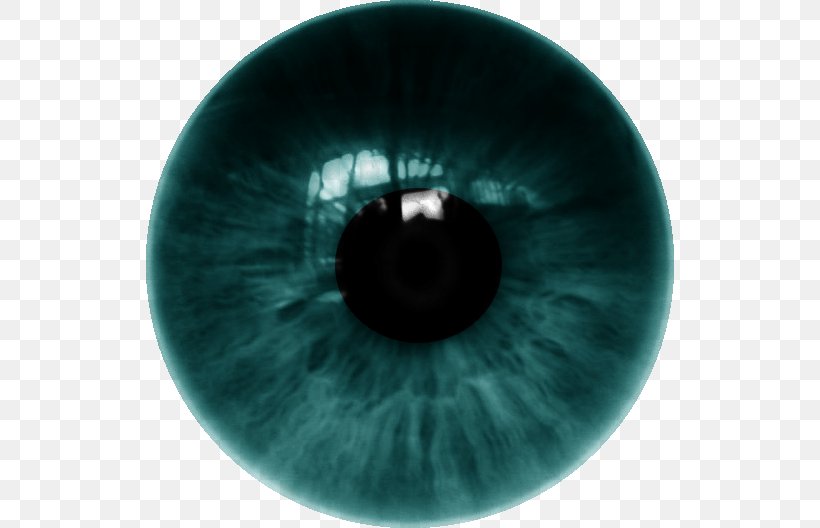 Human Eye Iris Contact Lenses, PNG, 528x528px, Watercolor, Cartoon, Flower,  Frame, Heart Download Free