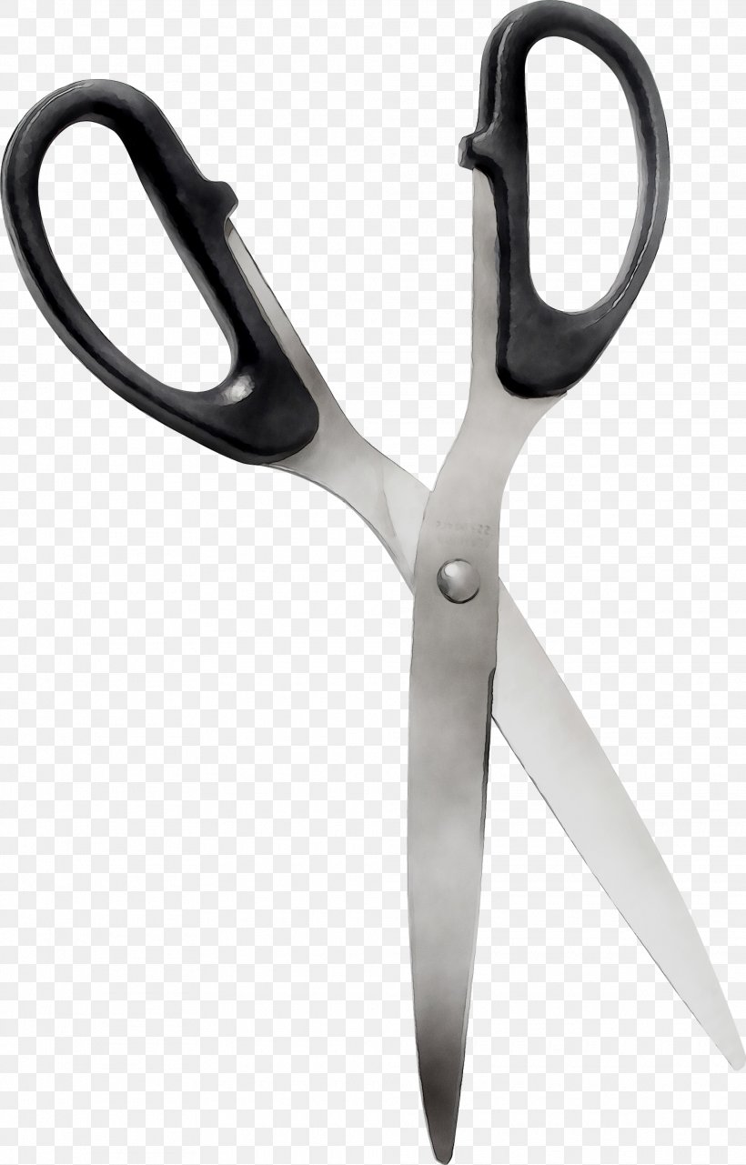 Scissors Hair Product Design, PNG, 1970x3079px, Scissors, Cutting Tool, Hair, Office Instrument, Office Supplies Download Free