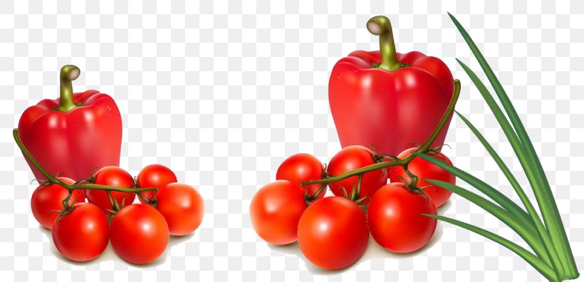Bell Pepper Vegetable Tomato Onion, PNG, 1024x495px, Bell Pepper, Acerola, Acerola Family, Bell Peppers And Chili Peppers, Bush Tomato Download Free