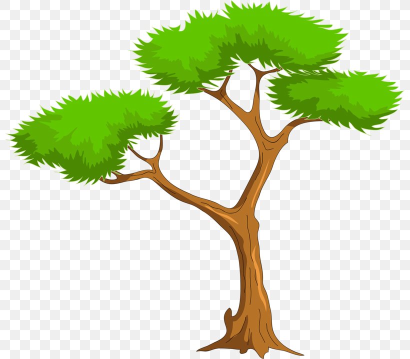 Clip Art Trees And Leaves Image Vector Graphics, PNG, 800x718px, Trees And Leaves, Art, Branch, Flowerpot, Grass Download Free