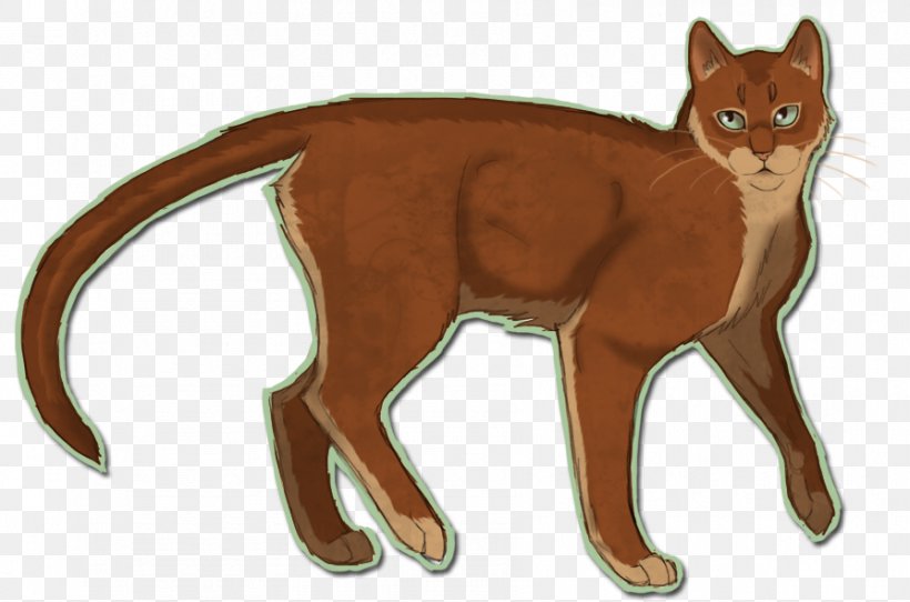 Whiskers Cat Warriors Beechfur Cloudtail, PNG, 894x591px, Whiskers, Animal Figure, Art, Carnivoran, Cat Download Free