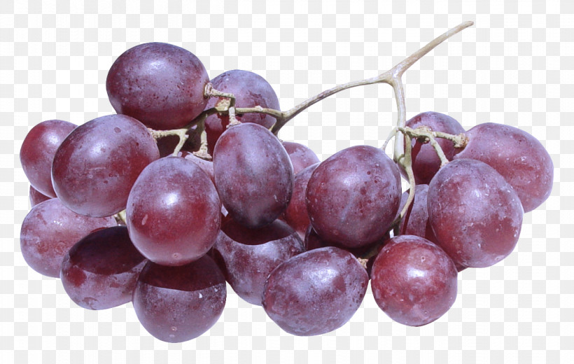 Grape Fruit Grapevine Family Vitis Plant, PNG, 1310x832px, Grape, Food, Fruit, Grapevine Family, Plant Download Free