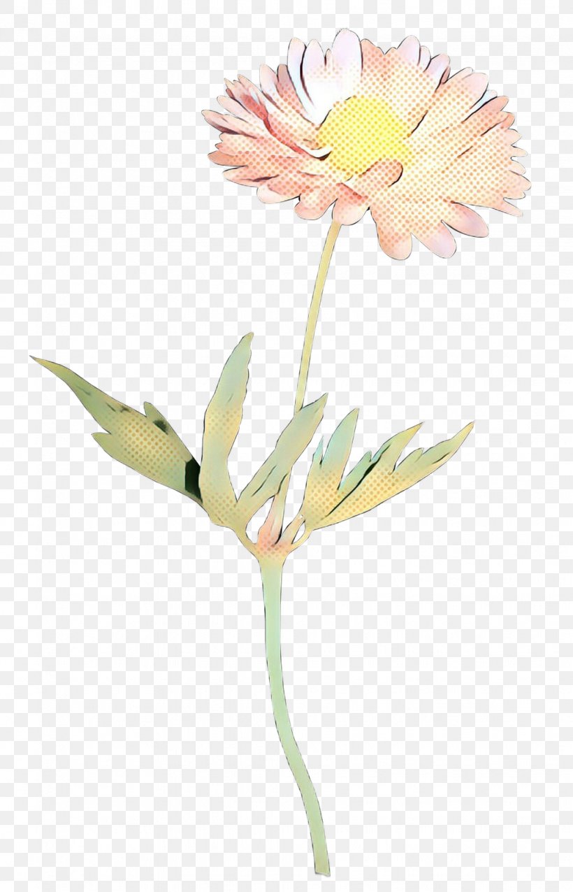 Oxeye Daisy Transvaal Daisy Floristry Cut Flowers Petal, PNG, 1028x1600px, Oxeye Daisy, Botany, Cut Flowers, Floristry, Flower Download Free