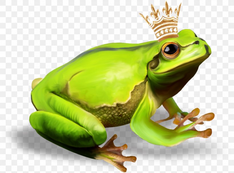The Frog Prince True Frog, PNG, 1024x757px, Frog Prince, Amphibian, Frog, Illustrator, Lossless Compression Download Free