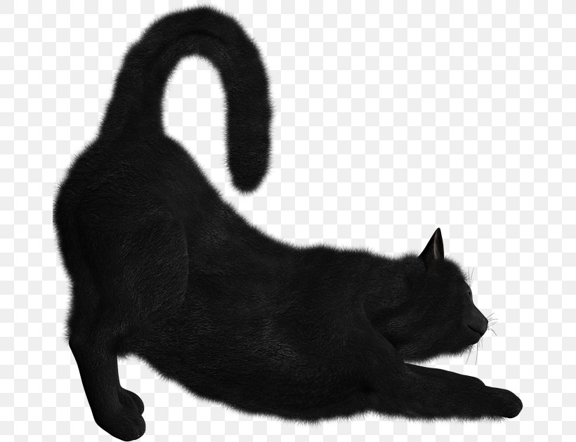 Bombay Cat Kitten Norwegian Forest Cat Siamese Cat Clip Art, PNG, 670x630px, Bombay Cat, Black, Black And White, Black Cat, Bombay Download Free