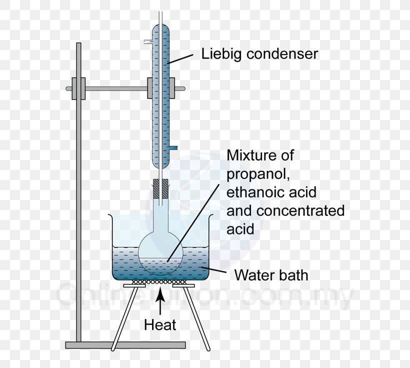 Butyl Group Esterification Ethyl Group Carboxylic Acid, PNG, 647x736px, Butyl Group, Acetate, Acid, Alcohol, Alkyl Download Free