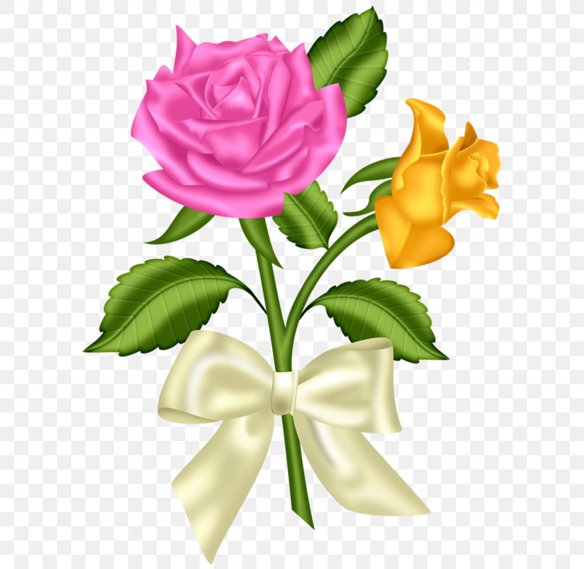 Flower Pink Blue Rose Clip Art, PNG, 612x800px, Flower, Blue, Blue Rose, Color, Cut Flowers Download Free
