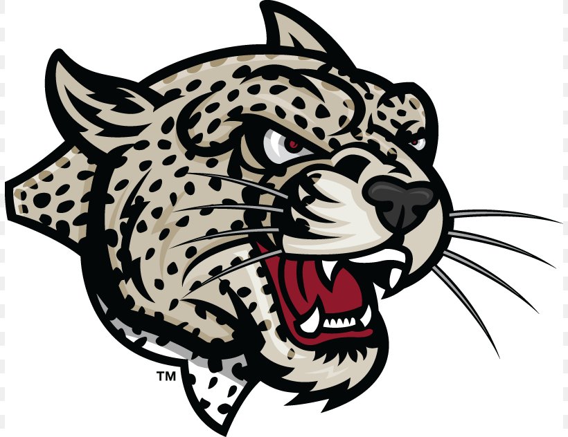 Lafayette College Lafayette Leopards Football Lehigh Mountain Hawks Football Colgate University Rider University, PNG, 806x632px, Lafayette College, Big Cats, Black, Black And White, Bucknell Bison Football Download Free