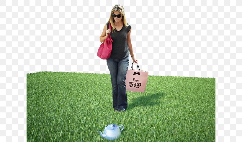Lawn Grassland Leisure Grasses Adobe Photoshop, PNG, 640x480px, Lawn, Family, Golf Ball, Google Play, Grass Download Free
