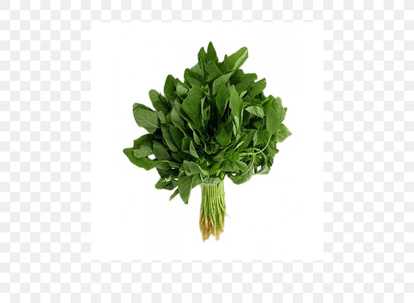 Leaf Vegetable Amaranthus Viridis Spinach Seed, PNG, 600x600px, Leaf Vegetable, Amaranth, Amaranthus Viridis, Chili Pepper, Coriander Download Free