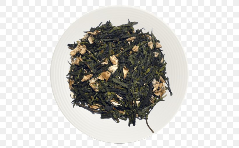 Assam Tea Green Tea Oolong Matcha, PNG, 509x508px, Tea, Assam Tea, Bai Mudan, Bancha, Biluochun Download Free