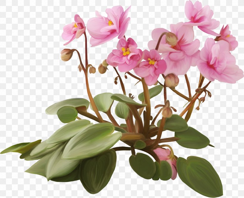 Flowerpot Plant Violet, PNG, 1741x1416px, Flower, Benzersiz, Flora, Flower Garden, Flowering Plant Download Free