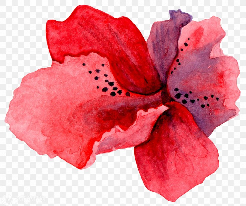 Watercolor Painting Royalty-free, PNG, 1063x892px, Watercolor Painting, Art, Azalea, Can Stock Photo, Flower Download Free