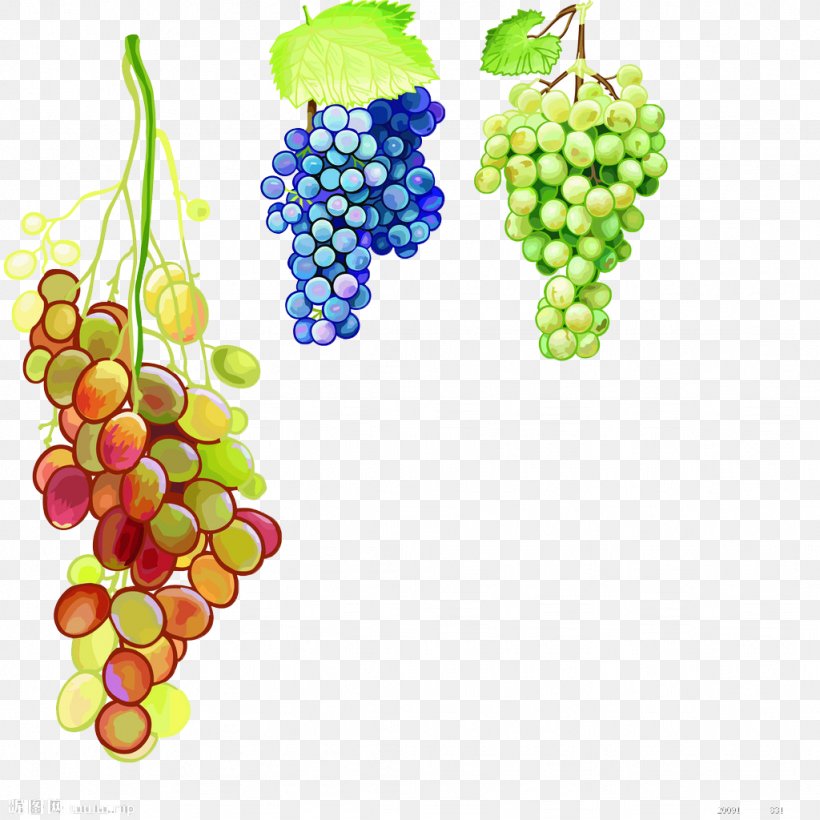 Juice Grape Watercolor Painting, PNG, 1024x1024px, Juice, Advertising, Auglis, Drink, Flowering Plant Download Free