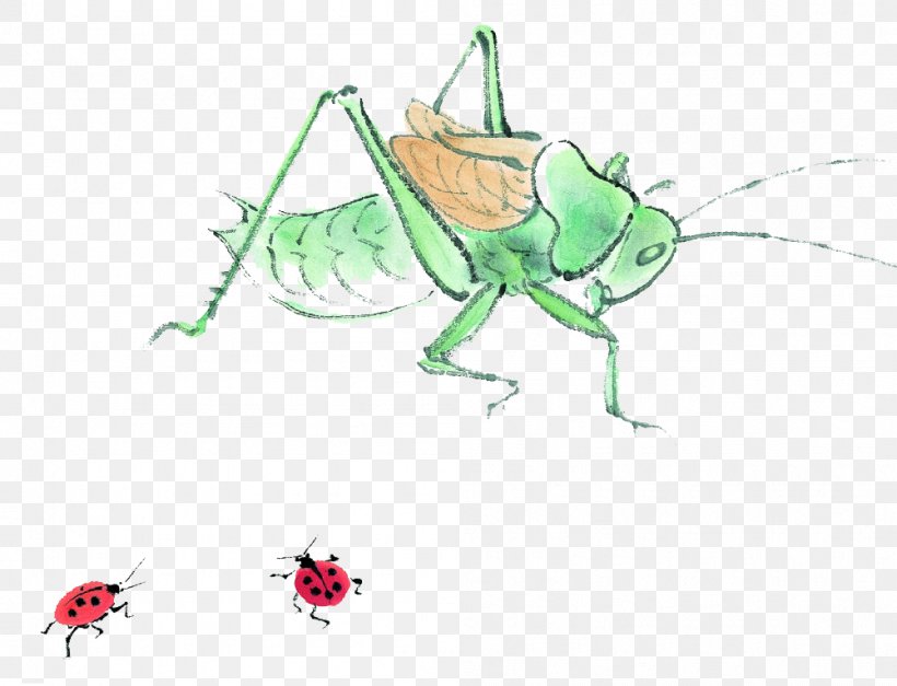 Insect Cartoon Daum Icon, PNG, 1001x766px, Insect, Art, Blog, Cartoon, Daum Download Free