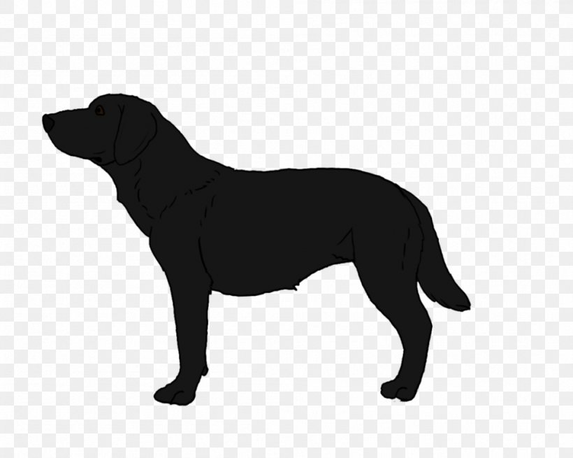 Labrador Retriever Puppy Horse American Staffordshire Terrier Rough Collie, PNG, 999x799px, Labrador Retriever, American Staffordshire Terrier, Black, Black And White, Borador Download Free