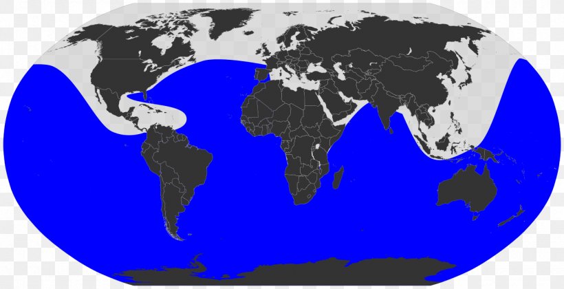 World Map Globe Blank Map, PNG, 1280x657px, World, Atlas, Blank Map, Blue, Country Download Free