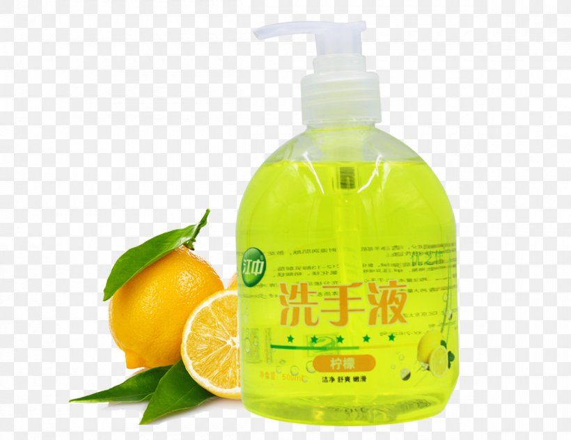 Juice Sorbet Lemon Water Bottle Infusion, PNG, 1200x926px, Juice, Bottle, Citric Acid, Citrus, Drink Download Free