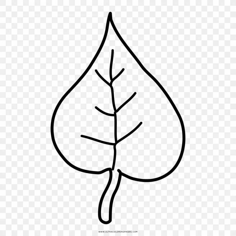 Leaf Drawing Coloring Book Watercolor Painting, PNG, 1000x1000px, Leaf, Area, Artwork, Black And White, Branch Download Free