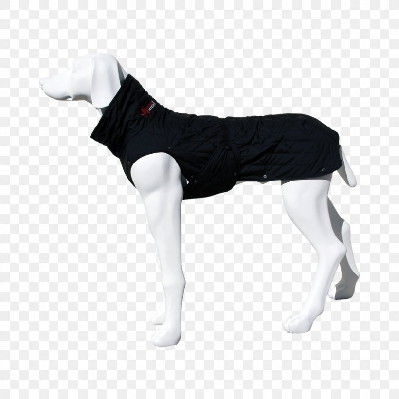 Dog Breed Dog Clothes Breed Group (dog) PrimaLoft, PNG, 833x833px, Dog Breed, Black, Breed Group Dog, Brown, Carnivoran Download Free