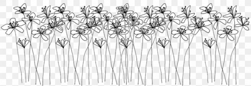 Ellsworth Kelly: Plant Drawings Doodle Flower, PNG, 1028x355px, Drawing, Art, Black And White, Branch, Doodle Download Free